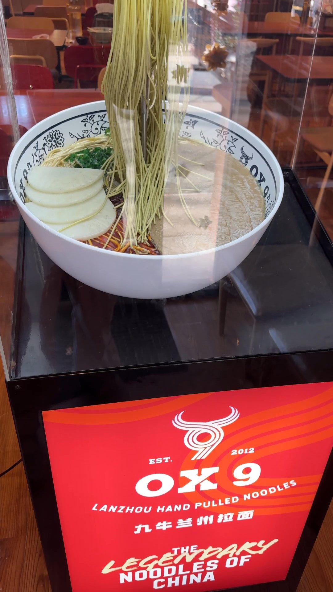 OX 9 LANZHOU HAND PULLED NOODLES - Updated March 2026 - 276 Photos