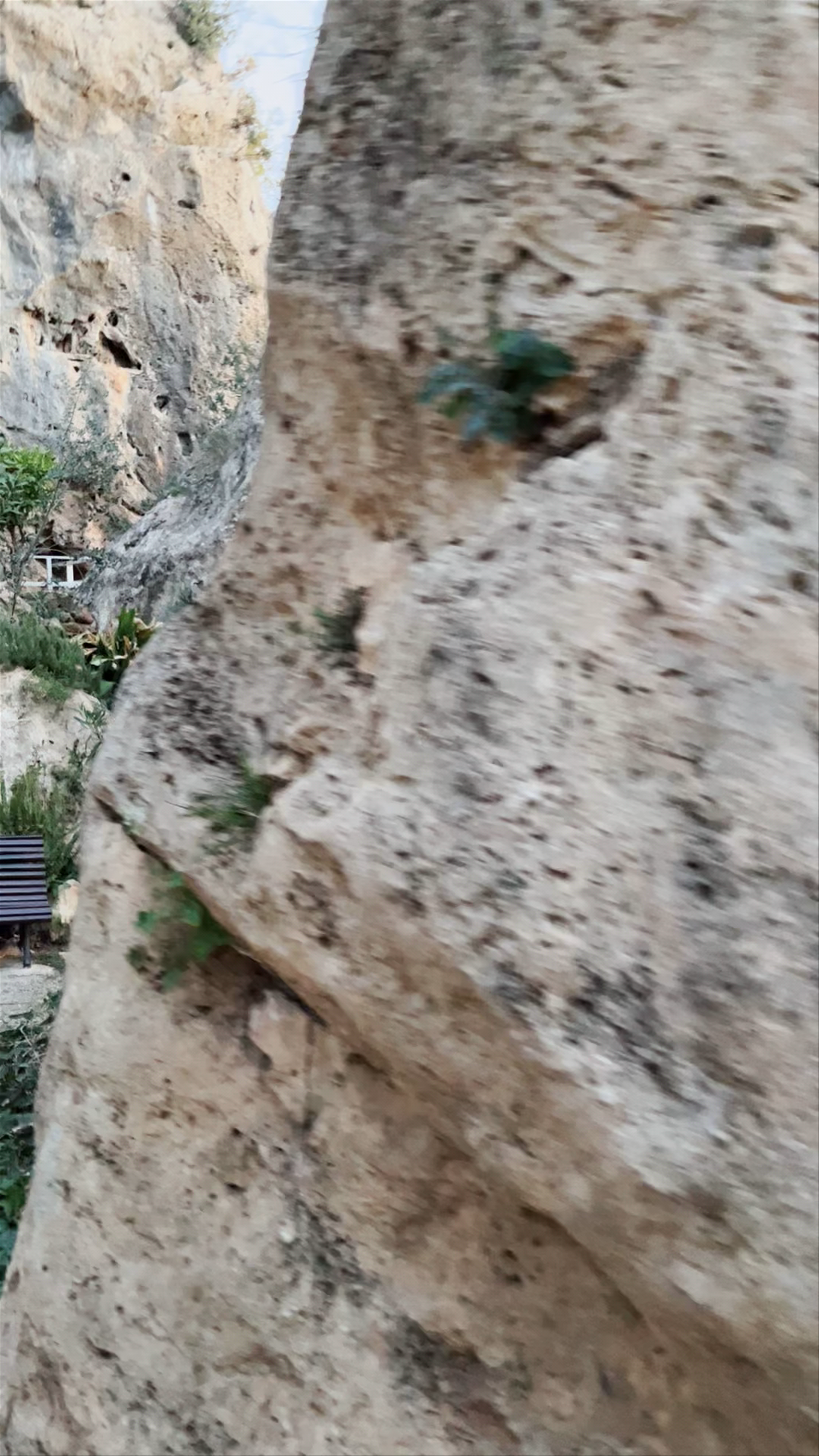 Gruta de la Virgen de Lourdes