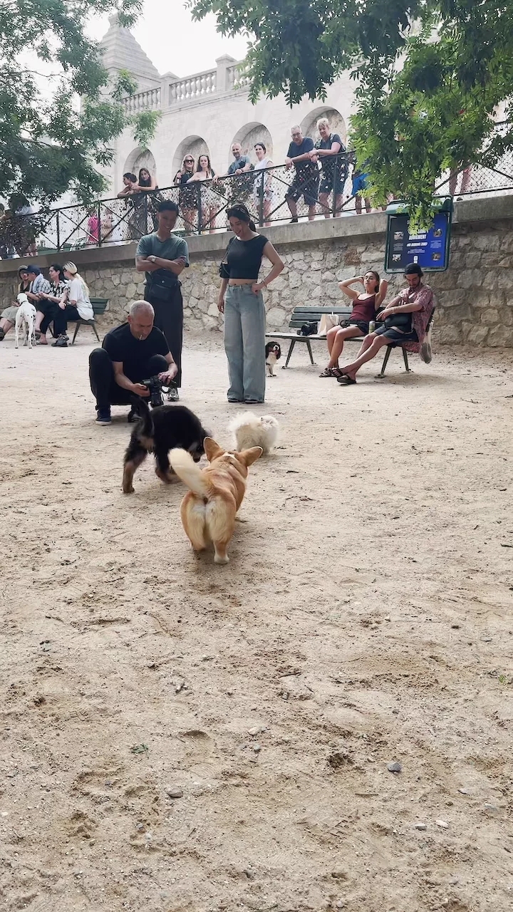 Puppies at Square Nadar 🐶 + Eiffel Tower View  ✨