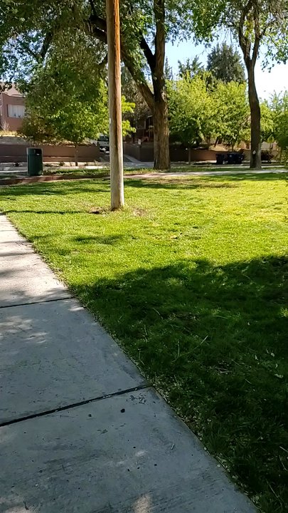 Roosevelt Park - Beautiful spring day in May - Parks Near Me - Albuquerque, New Mexico