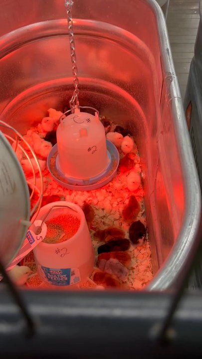 Tractor Supply - Pet Stores Near Me - New Hudson, Michigan