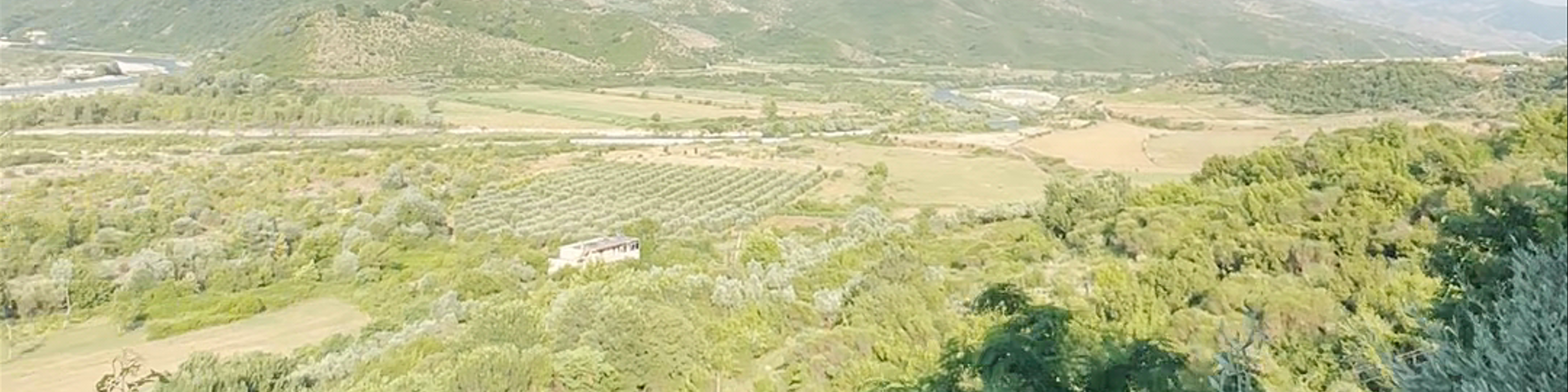 Tepelenë