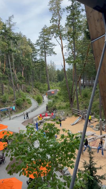 Malahat Skywalk - Historical Tours Near Me - Malahat, British Columbia