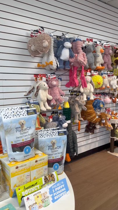 Twenty's Pet Shop - Pet Stores Near Me - Arcadia, California