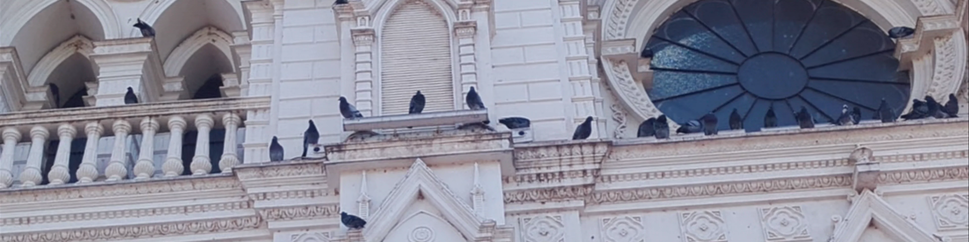 Santa Ana Cathedral