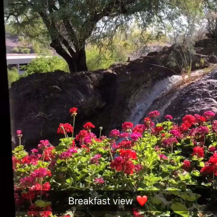 Market Cafe - We enjoyed our fresh made to order omelets and the view - Cafes Near Me - Tempe, Arizona