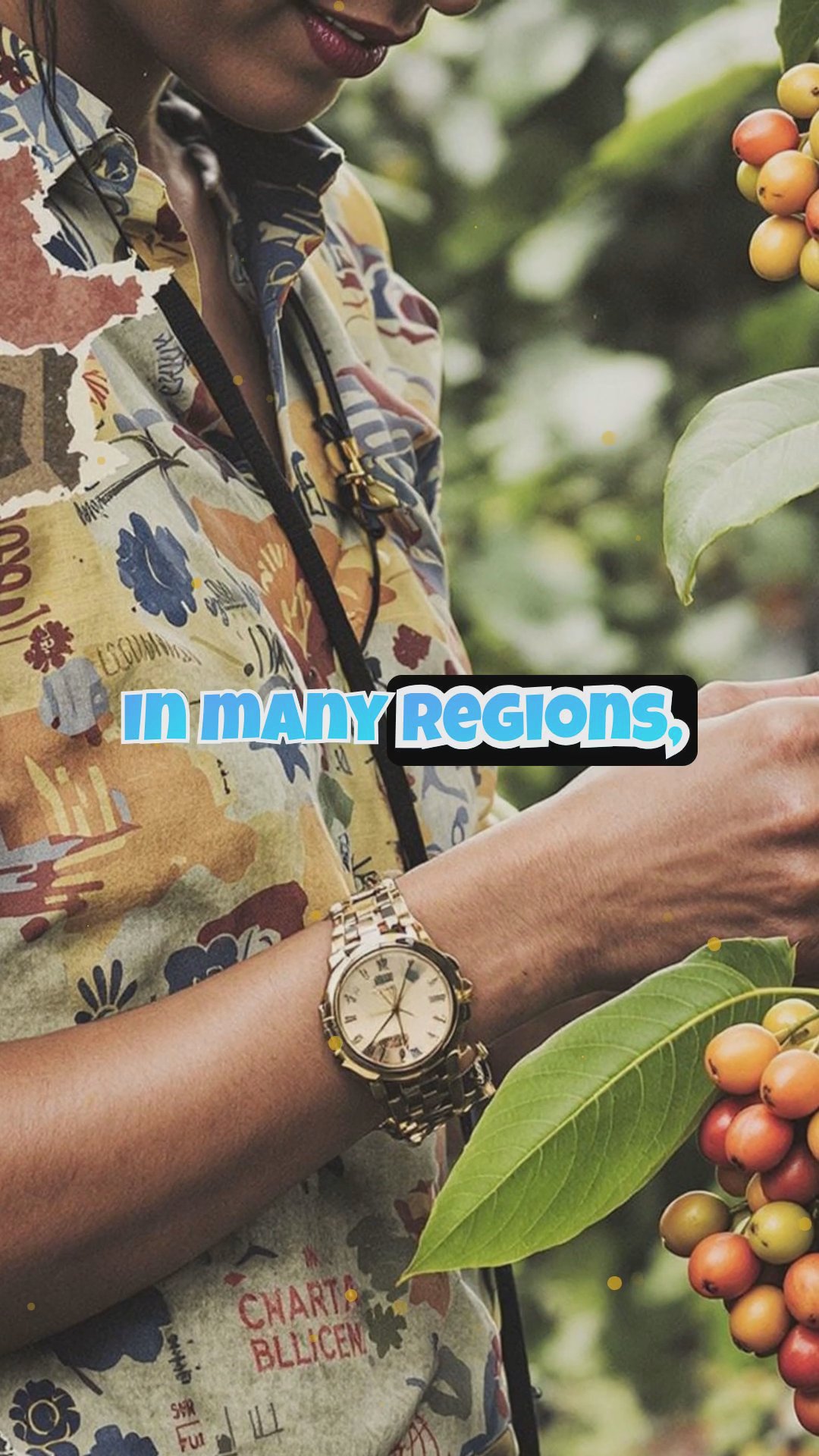 Empowering Women Through Coffee, Cocoa & Sugar Cane