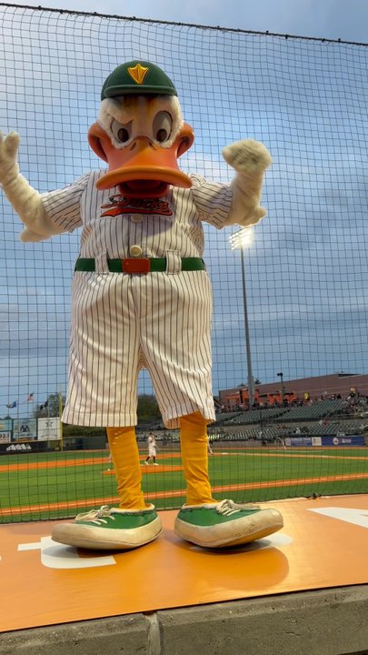 Long Island Ducks - What a ham!!! - Professional Sports Teams Near Me - Central Islip, New York