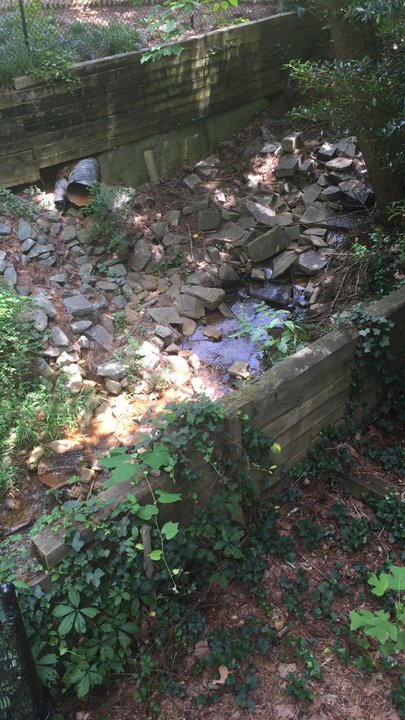 Vines Gardens - A serene creek by the railroad - Botanical Gardens Near Me - Loganville, Georgia