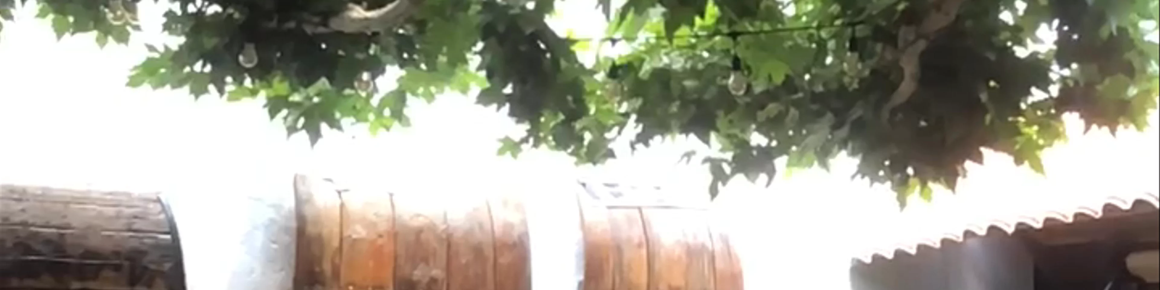 Mesón El Rodeo