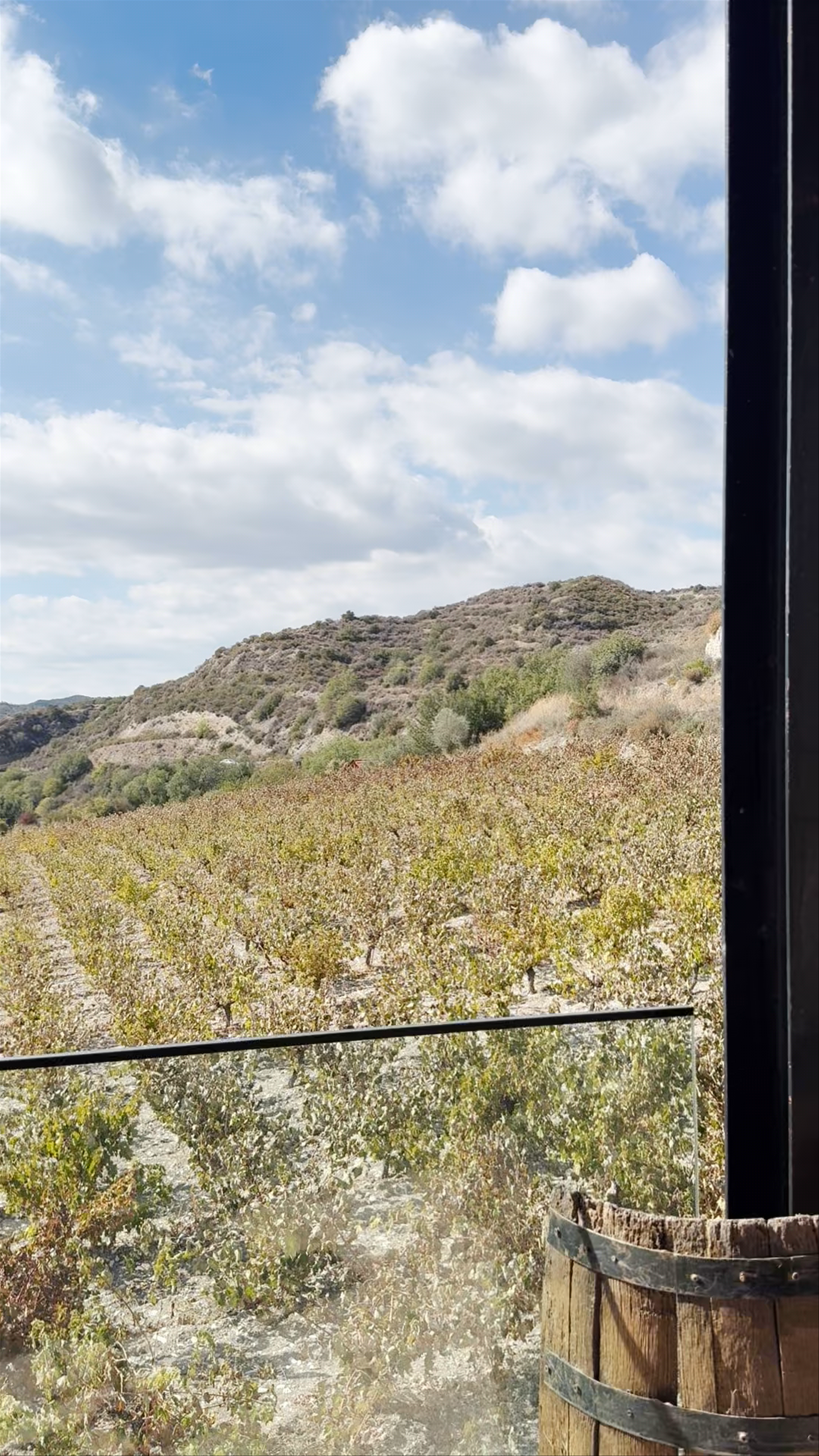Christoudia Winery: Serene Vineyard Escape in Kato Drys, Cyprus