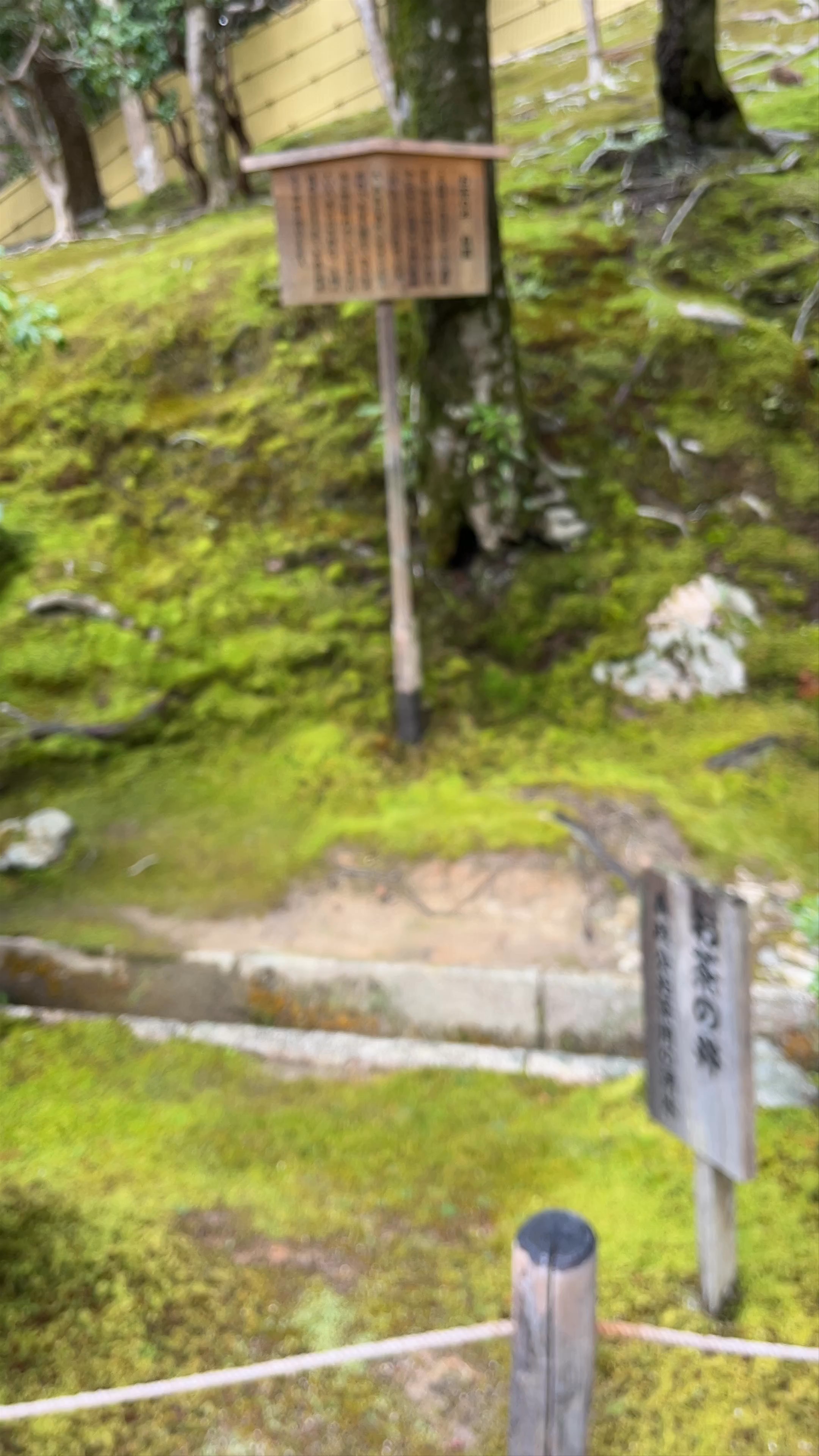 Ochanoi Well (Tea Well) - A Serene Kyoto Garden Treasure