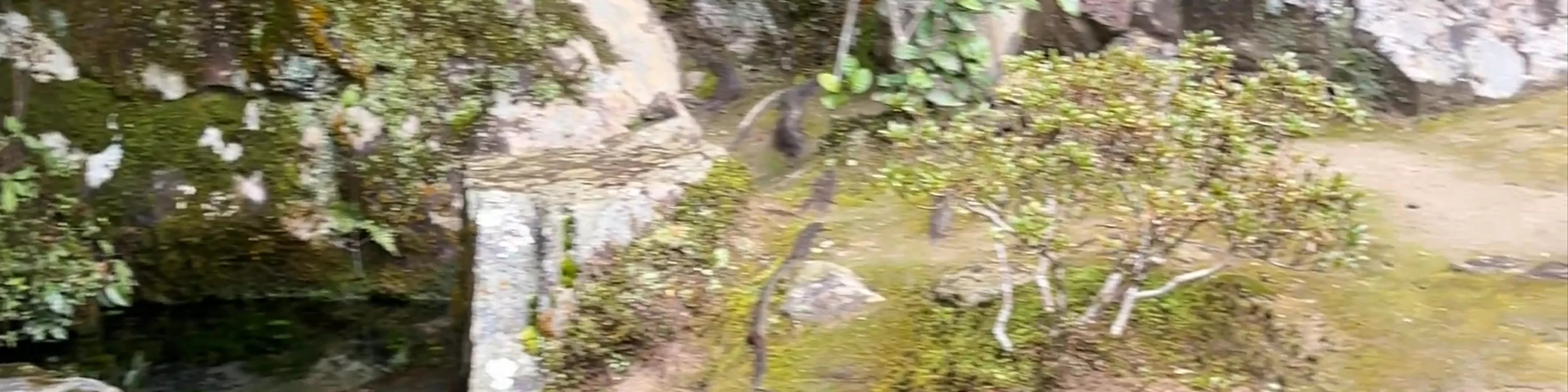 Ochanoi Well (Tea Well)