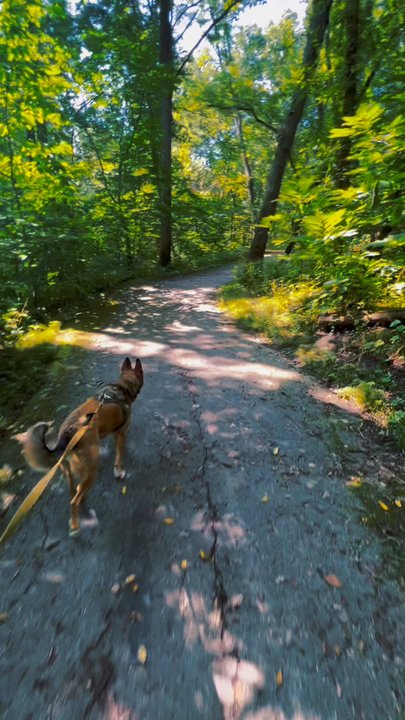 Weston Bend State Park - Parks Near Me