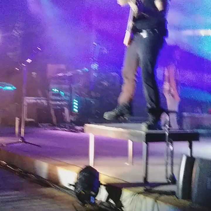 Washington County Fair - Morgans bassist - Local Flavor Near Me - Richmond, Rhode Island