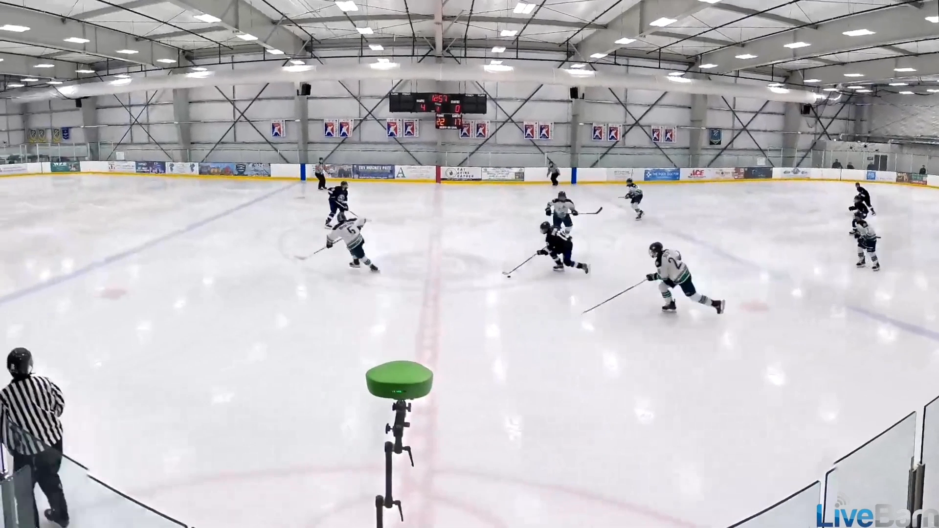 Goal / Stickhandling