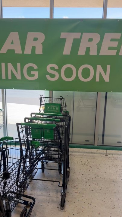 Dollar Tree - See for yourself how big the space is - Discount Store Near Me - Rocklin, California