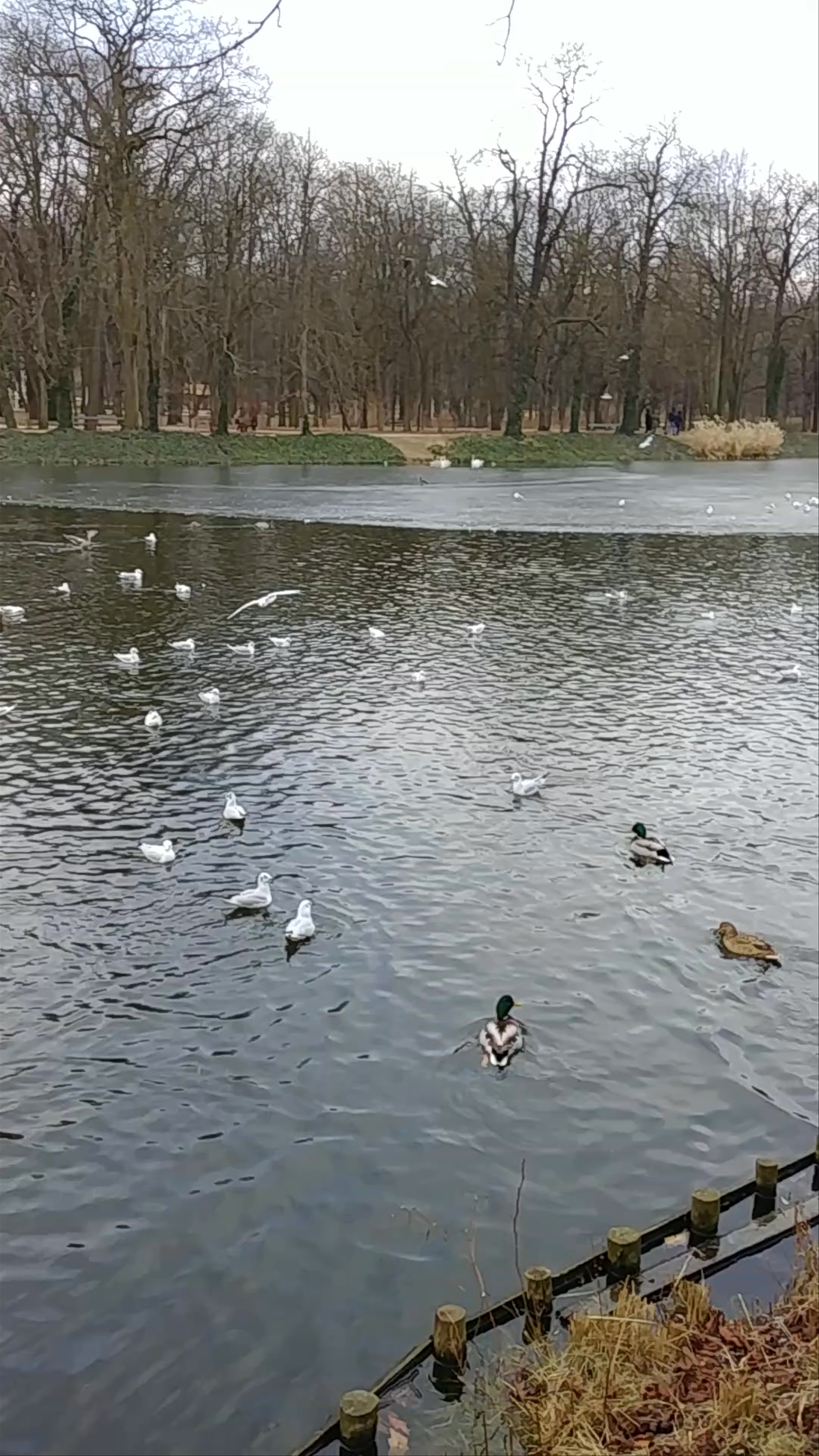 Park Postępu C