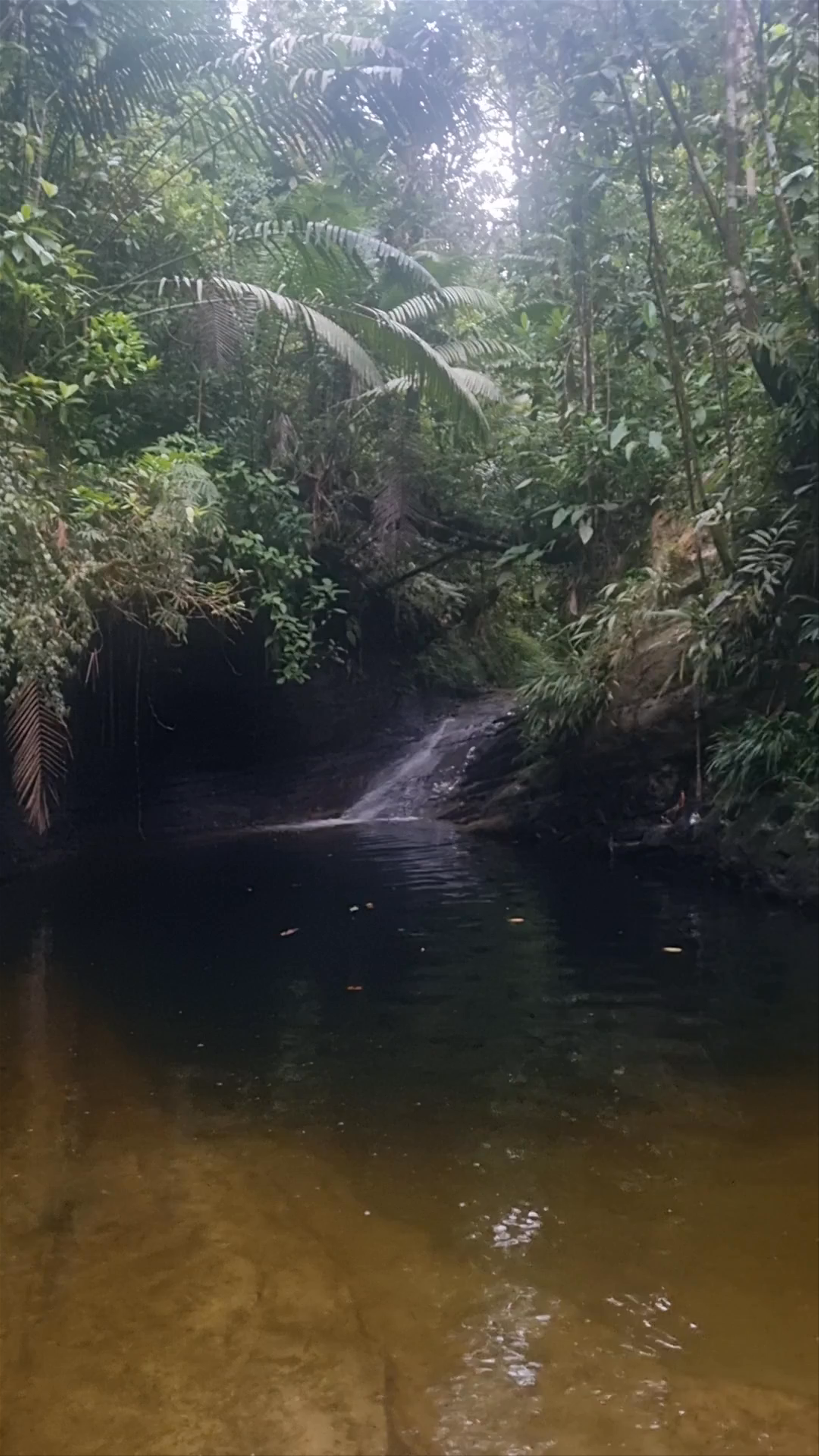 Piscina Natural Sardineras
