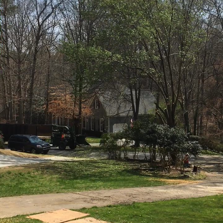 Leo's Tree Service - Large Pear Tree coming down. - Landscaping Near Me