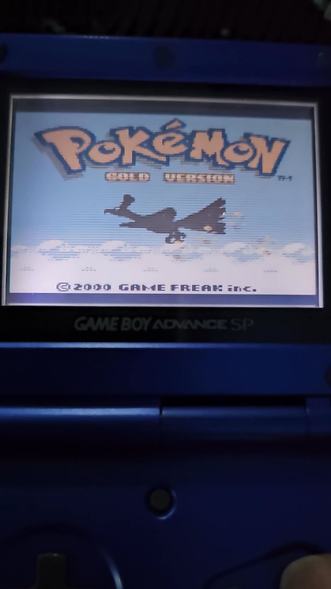 Siin - سين POKÉMON GOLD  - GAMEBOY COLOR  gallery