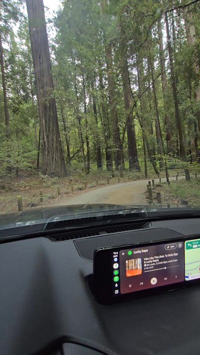 Drive-Thru Tree - Parks Near Me - Leggett, California