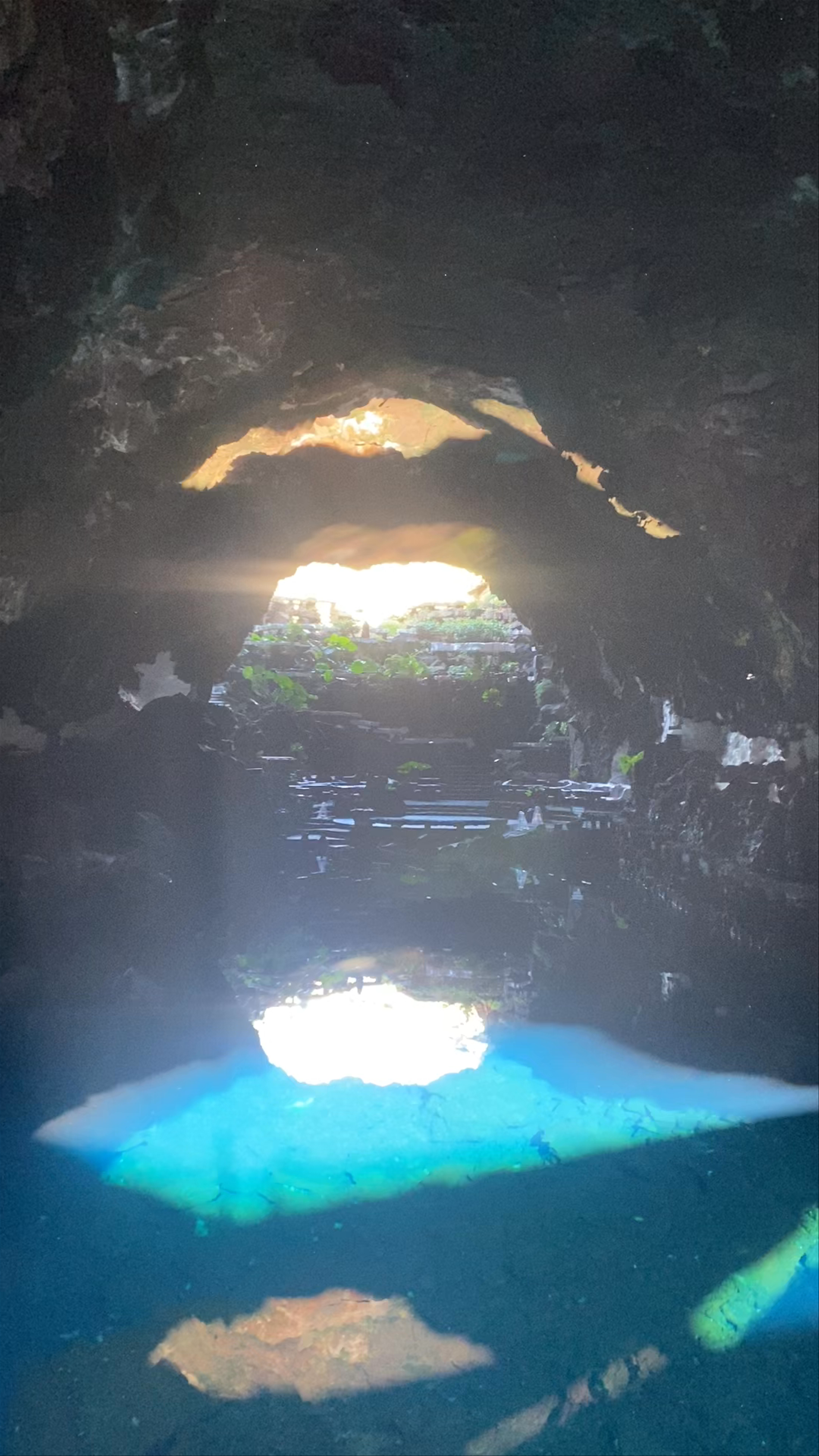 Jameos del Agua: Magical Volcanic Cave Oasis in Canary Islands