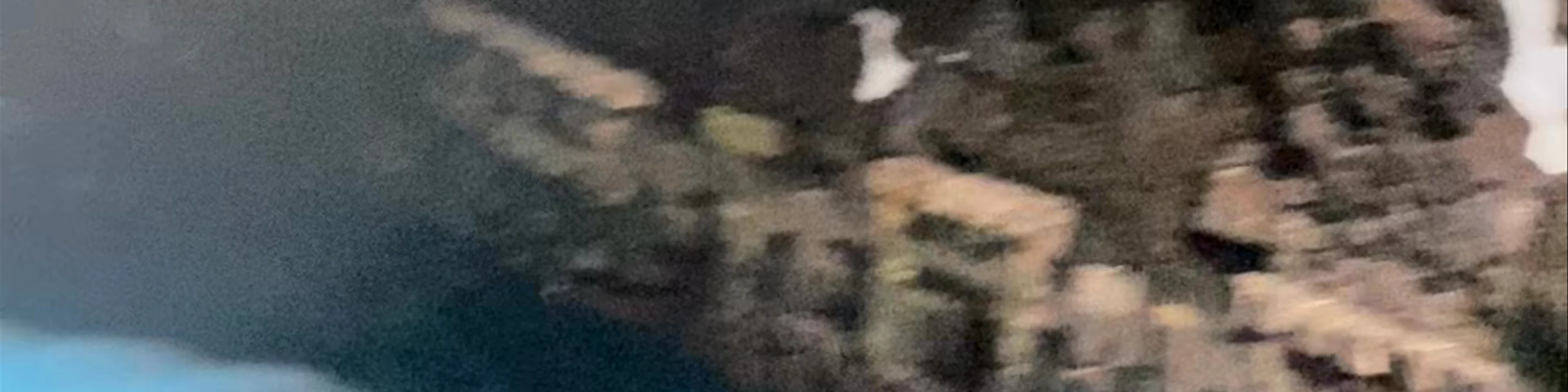 Jameos del Agua
