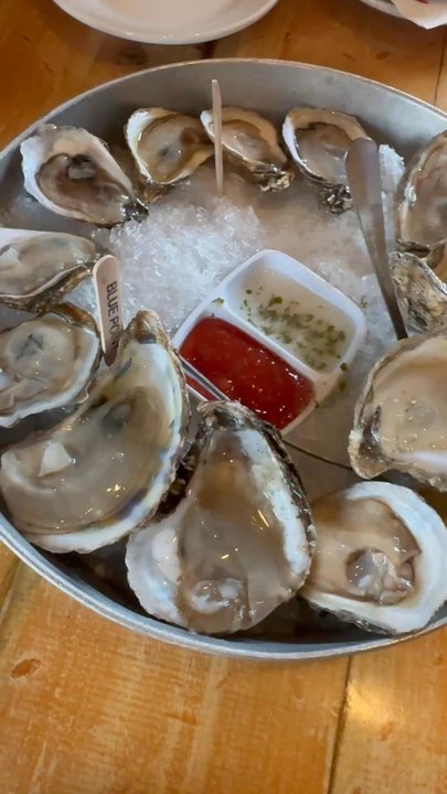 Boatyard Bar & Grill - Oysters!!! - Seafood Near Me - Annapolis, Maryland