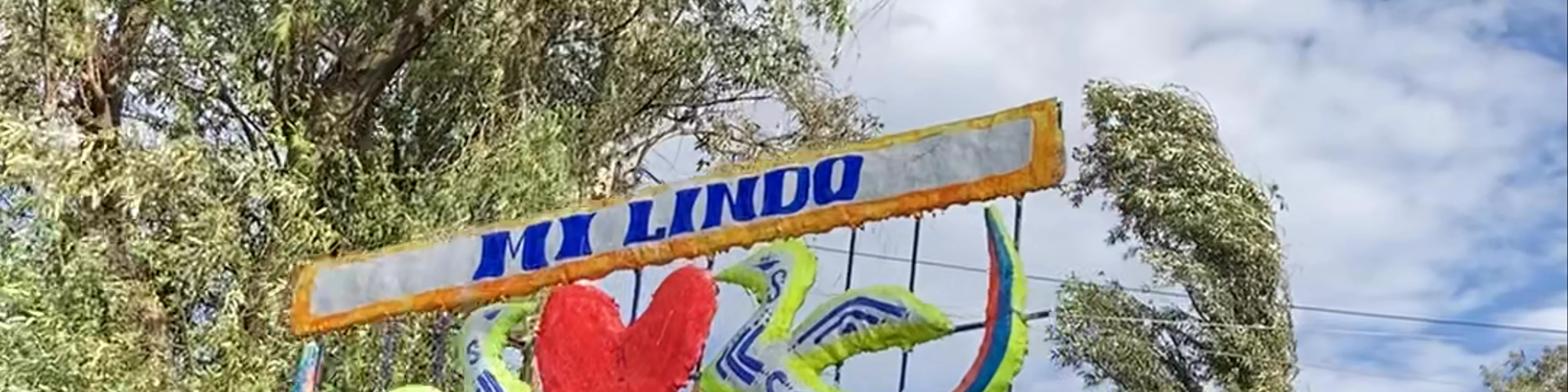 Xochimilco Embarcaderos