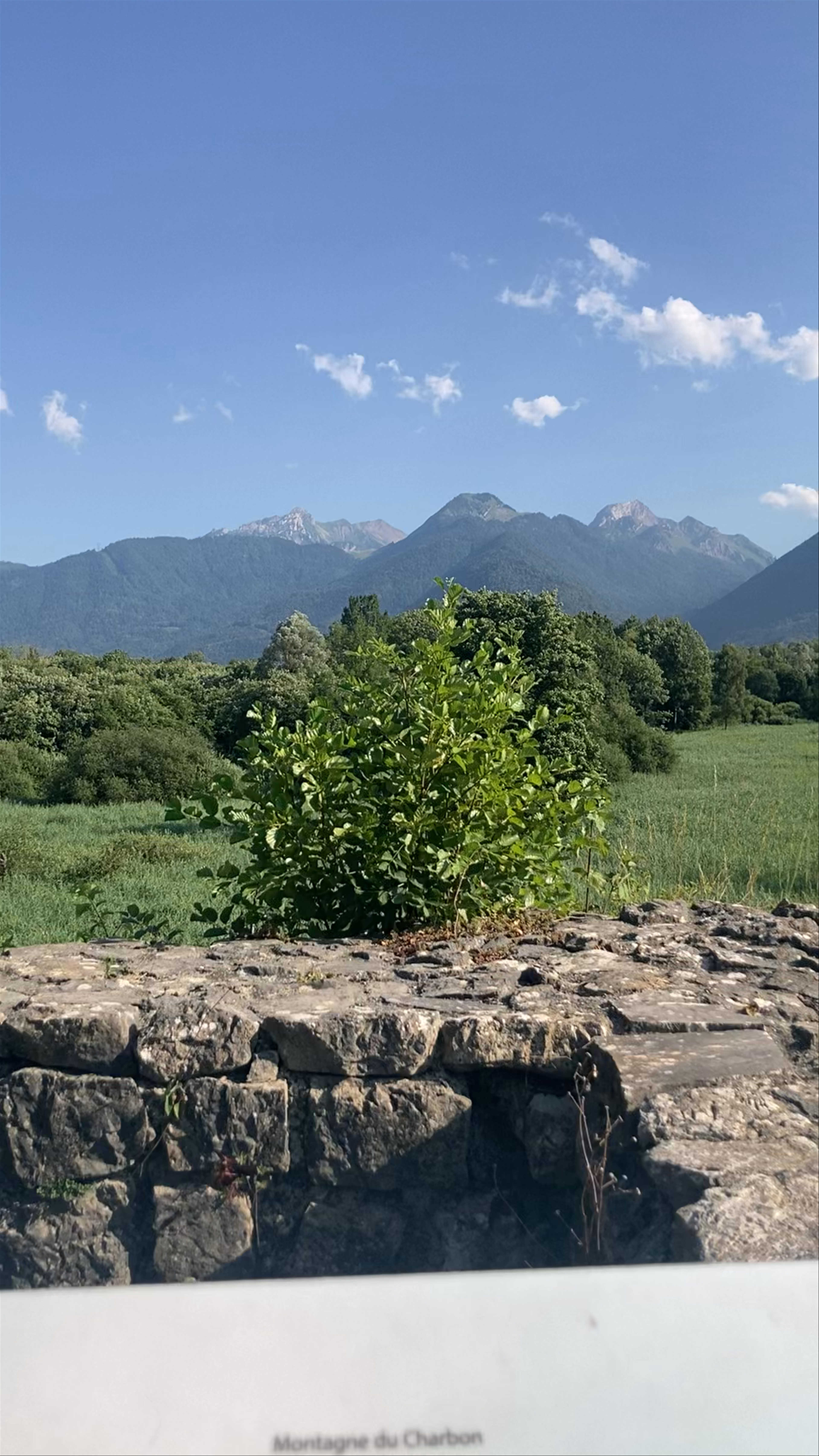Réserve naturelle nationale du Bout du Lac d'Annecy: Alpine Serenity in Doussard, France