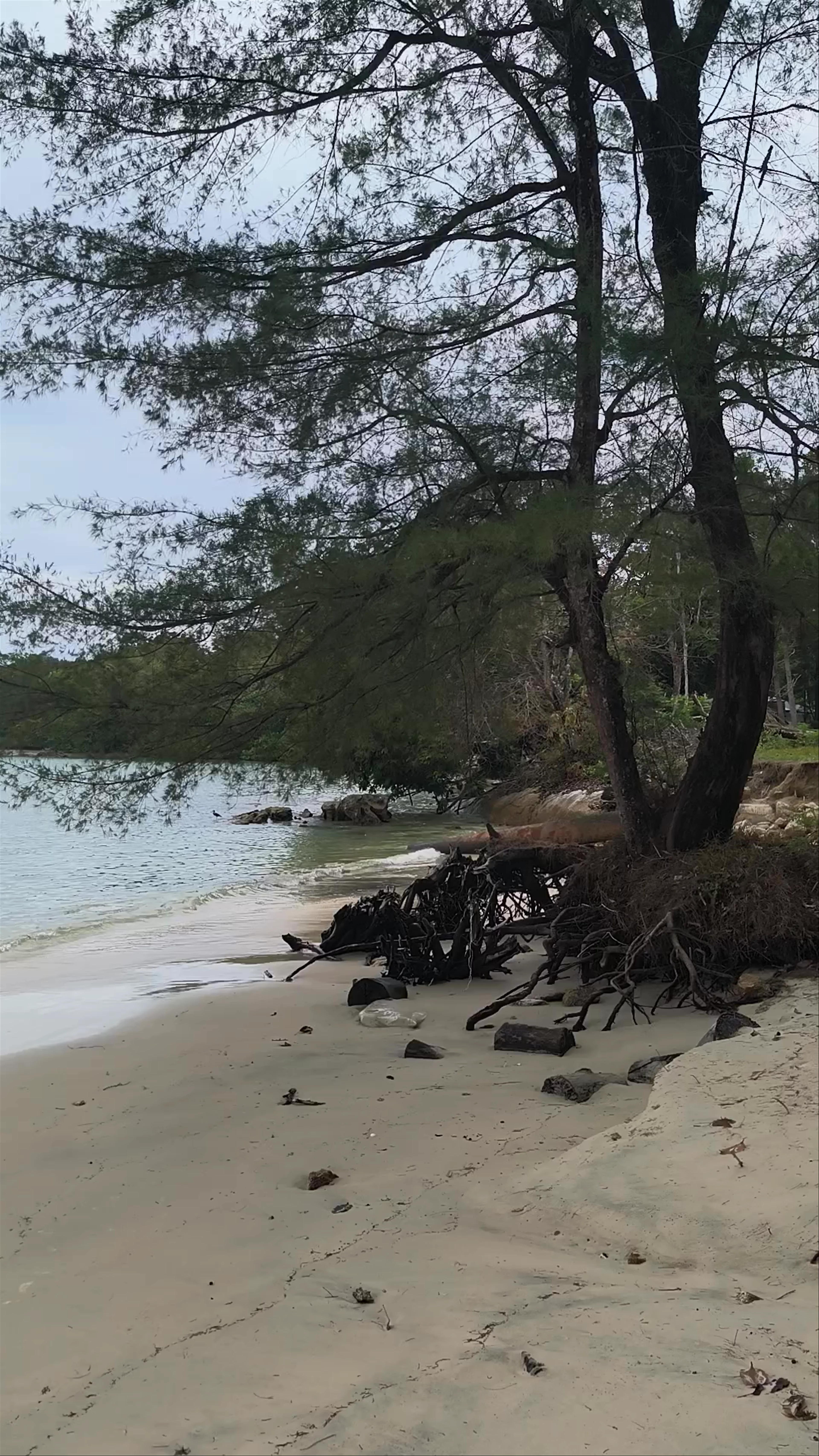 Pantai Kok