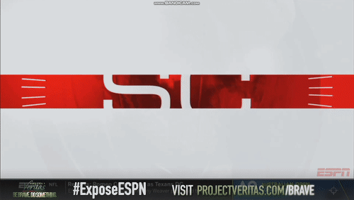 Video Thumbnail Loop