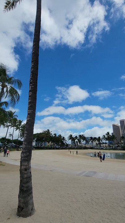 Duke's Lagoon - Great place to take pic, but don't touch the water.  It's filthy. - Surfing Near Me - Honolulu, Hawaii