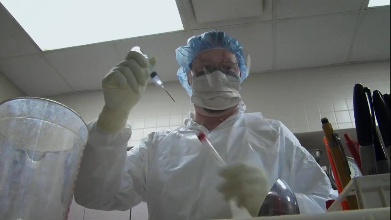 UCLA “Optimists 2.0”