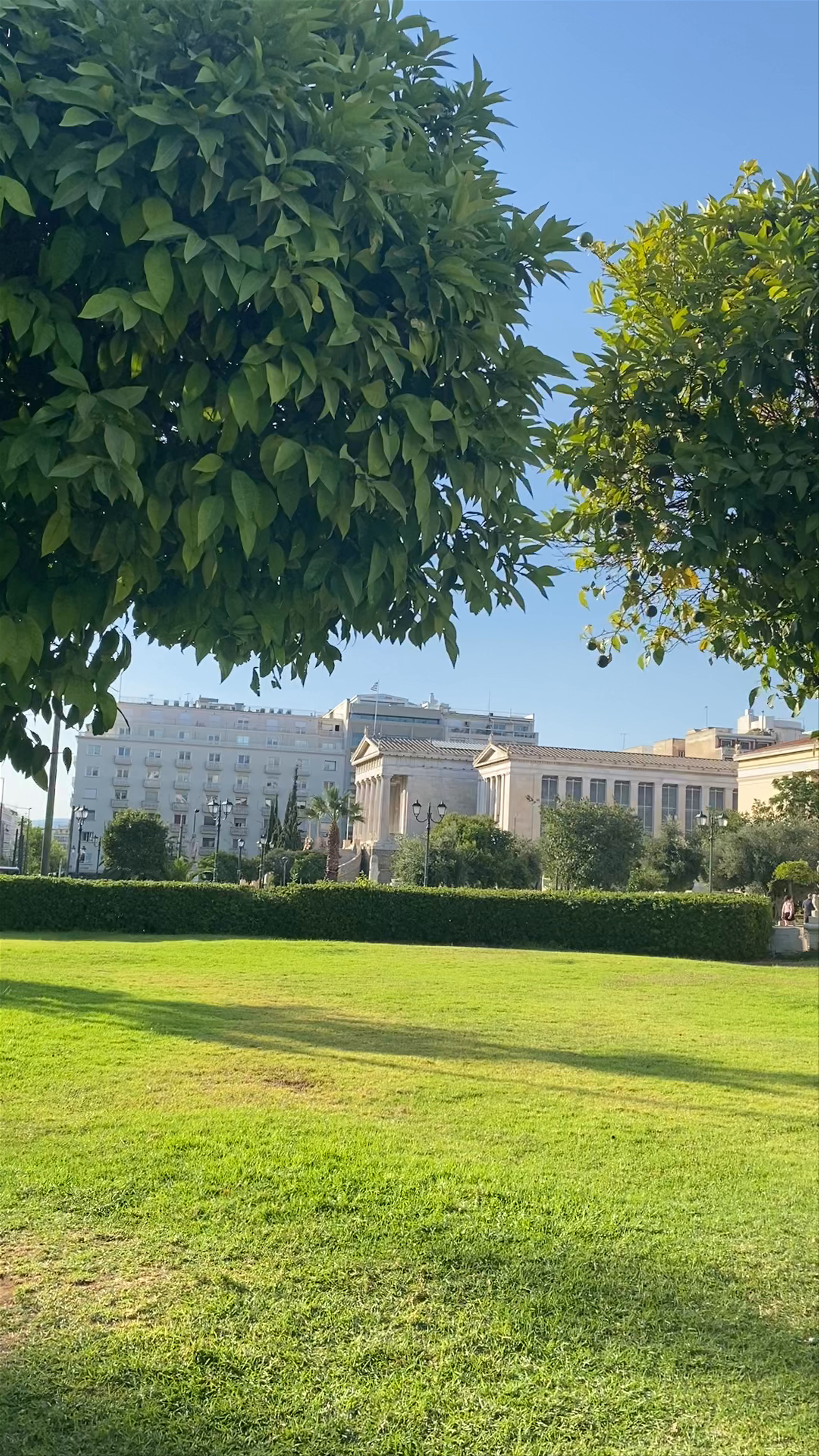Golden Afternoon at the Academy of Athens