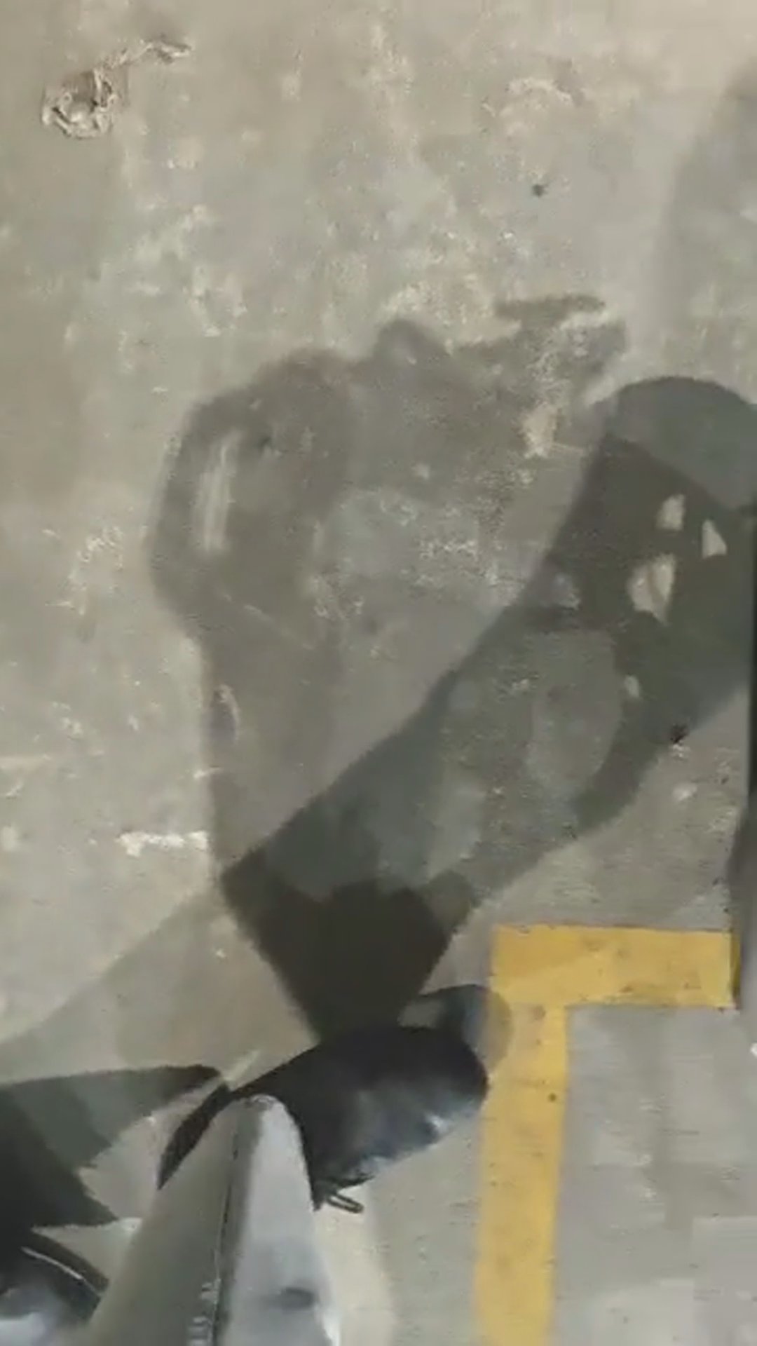Walk-around video thumbnail