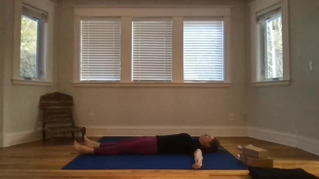 Hips and Hamstrings Gentle