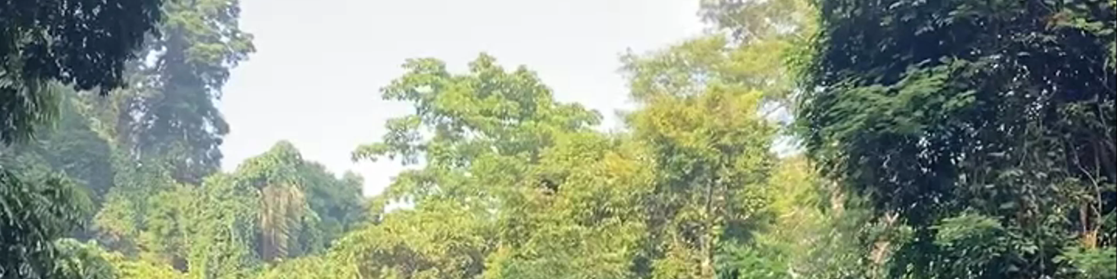 Lubuk Teja Waterfall