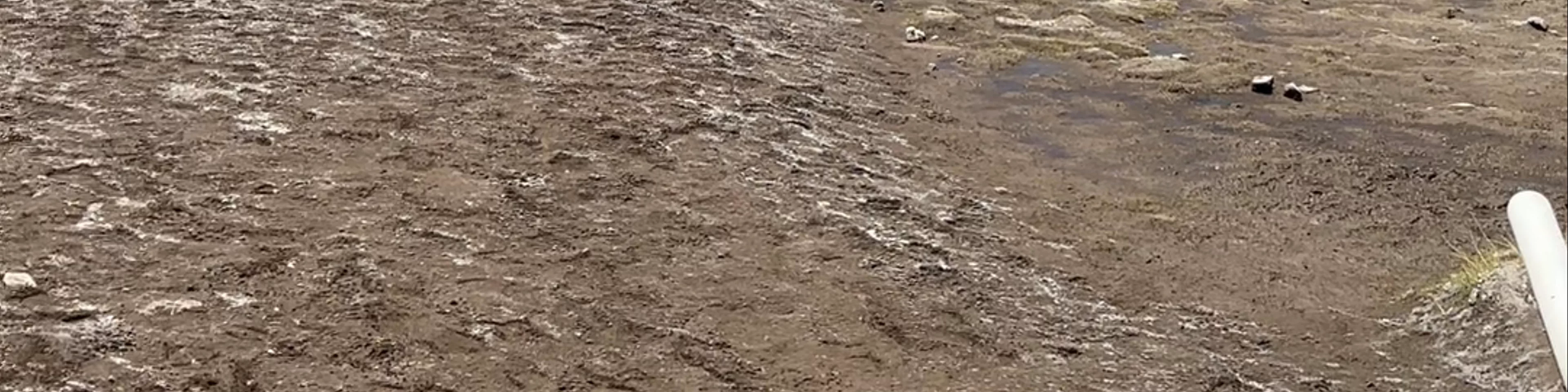 Termas de Polques