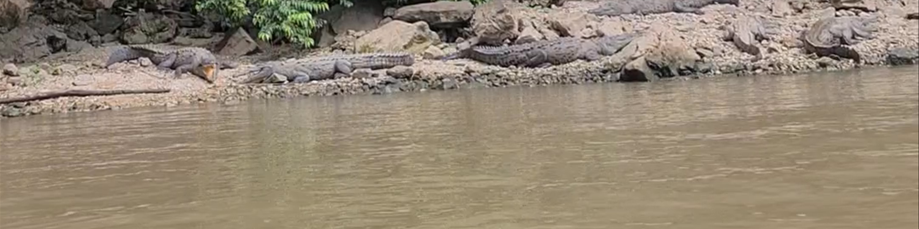 Tuxtla