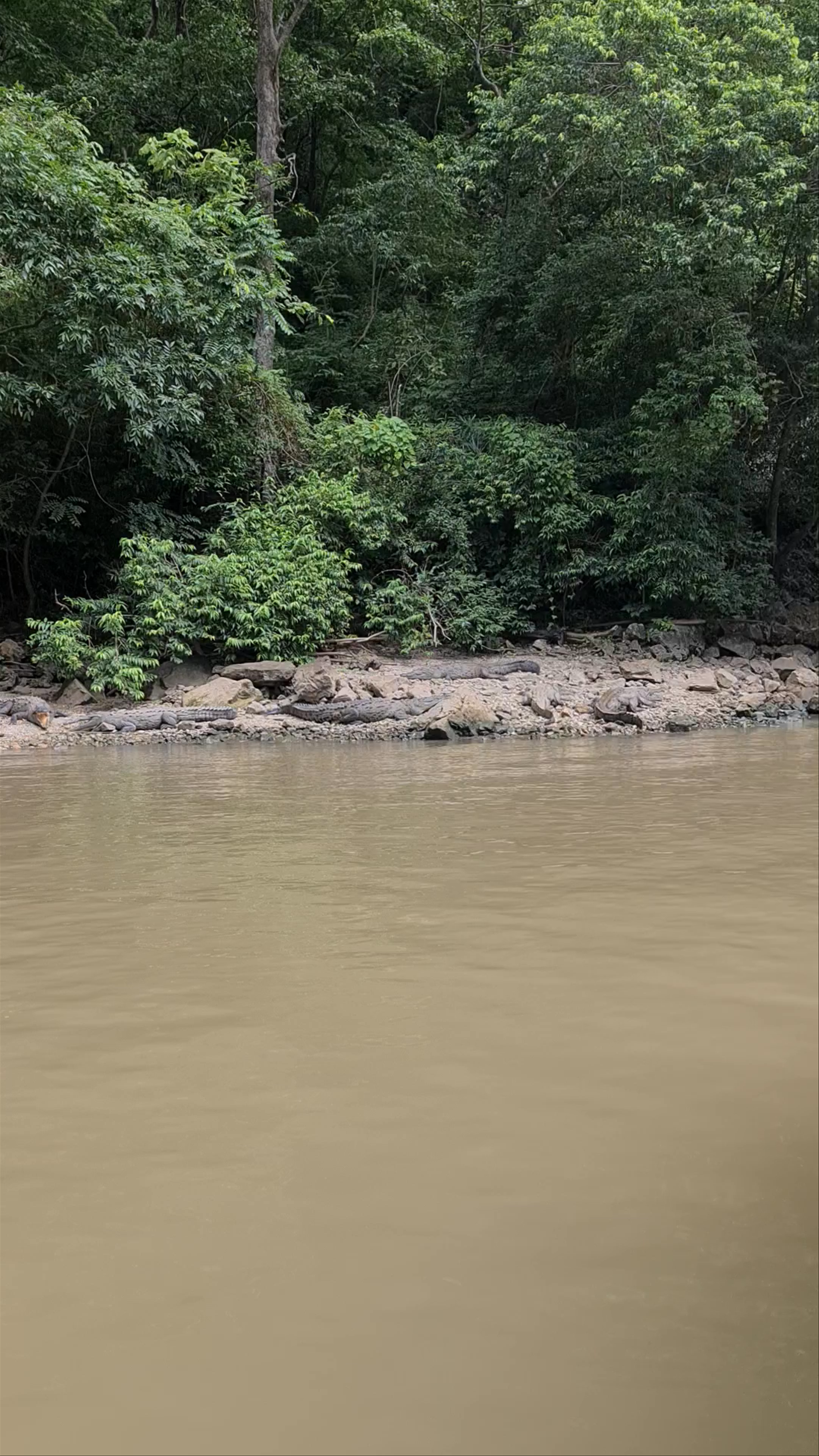Sumidero Canyon: Wildlife and Wilderness in Chiapas, Mexico