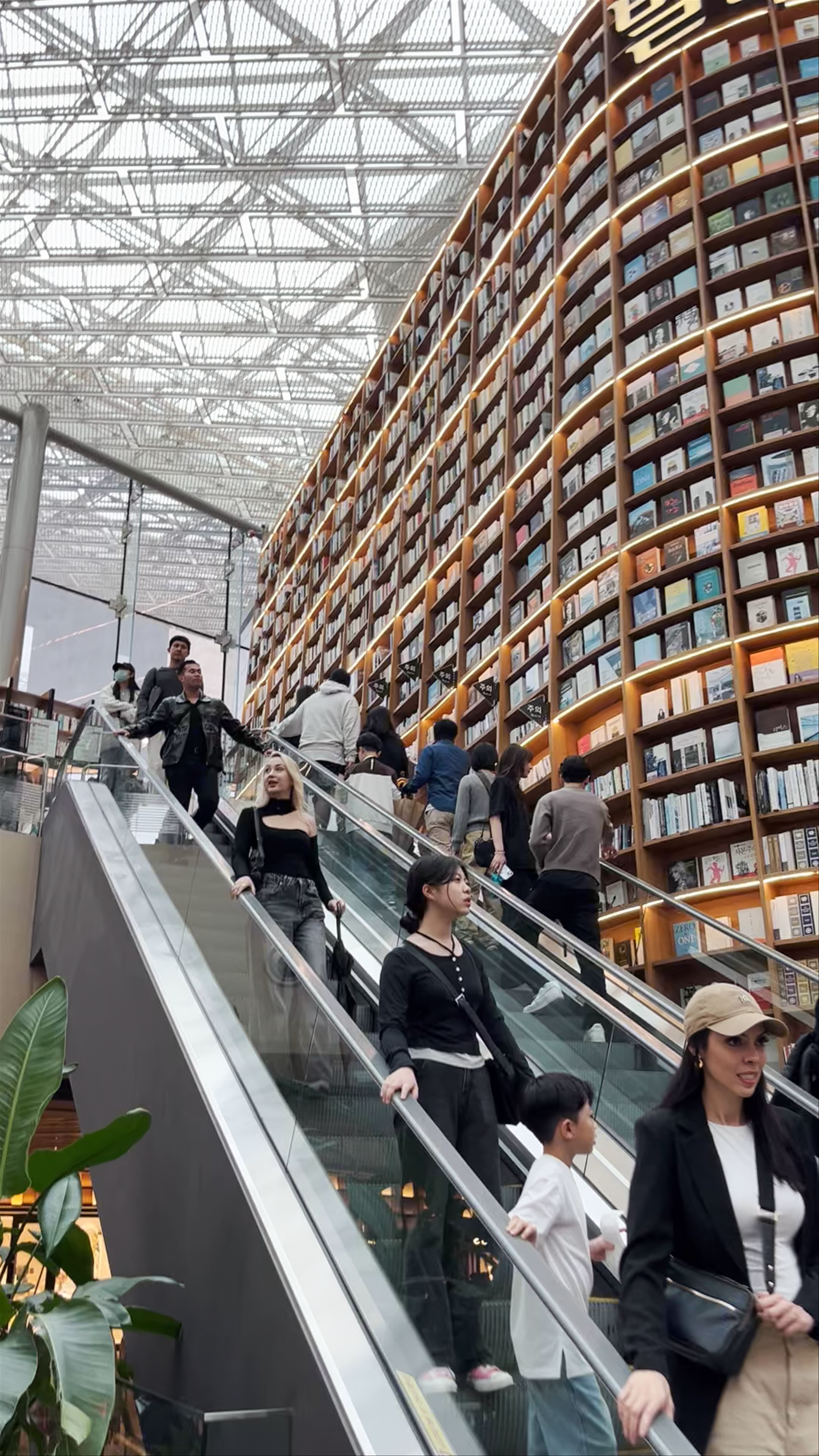 Starfield Library