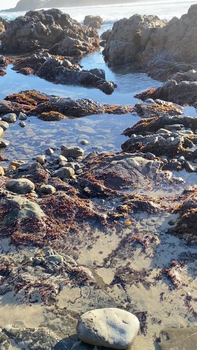 Pfeiffer Beach - Beaches Near Me - Big Sur, California