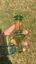 Small image 9