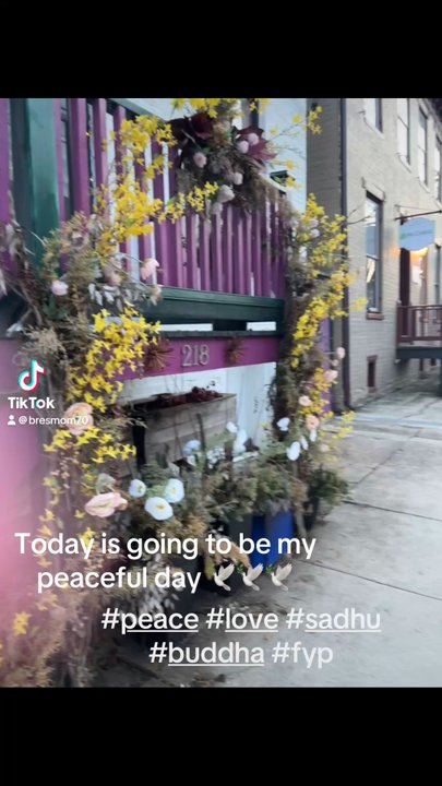 Freesia and Vine - Just a beautiful place - Florists Near Me - Frederick, Maryland