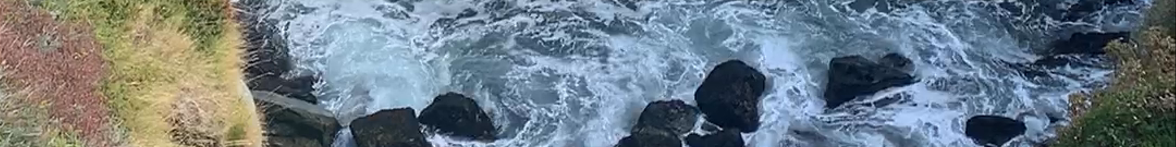 Tours & experiences in Bonavista