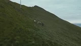 F*cking Tourist