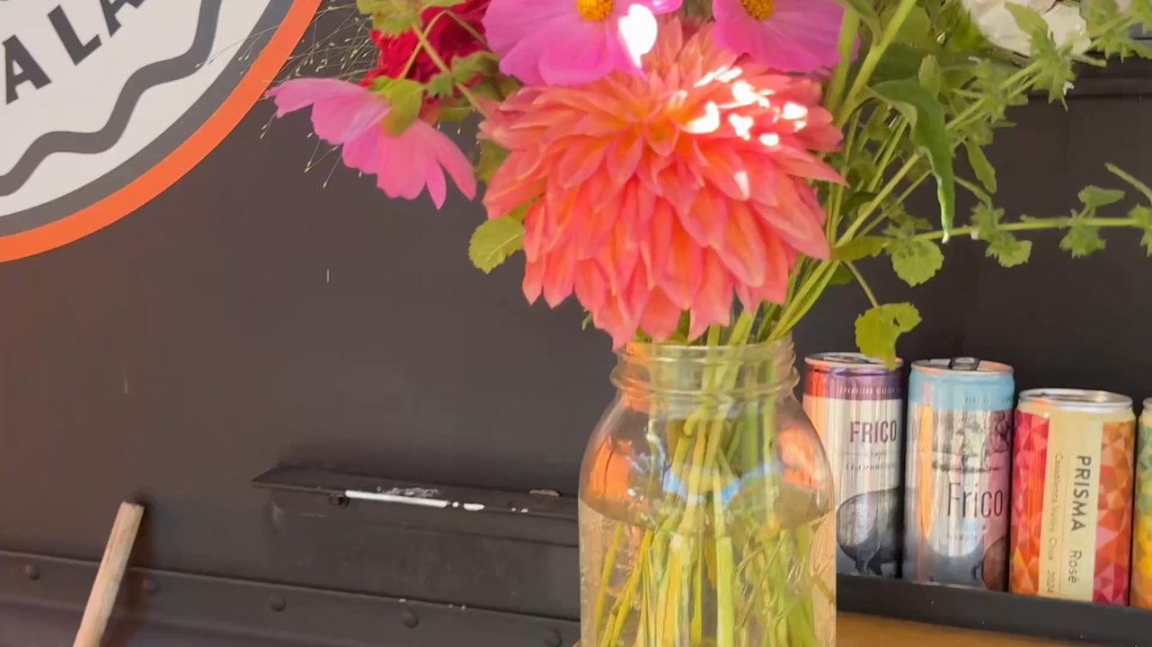 Reeva - Love the vibe - Food Trucks Near Me - Portland, Oregon