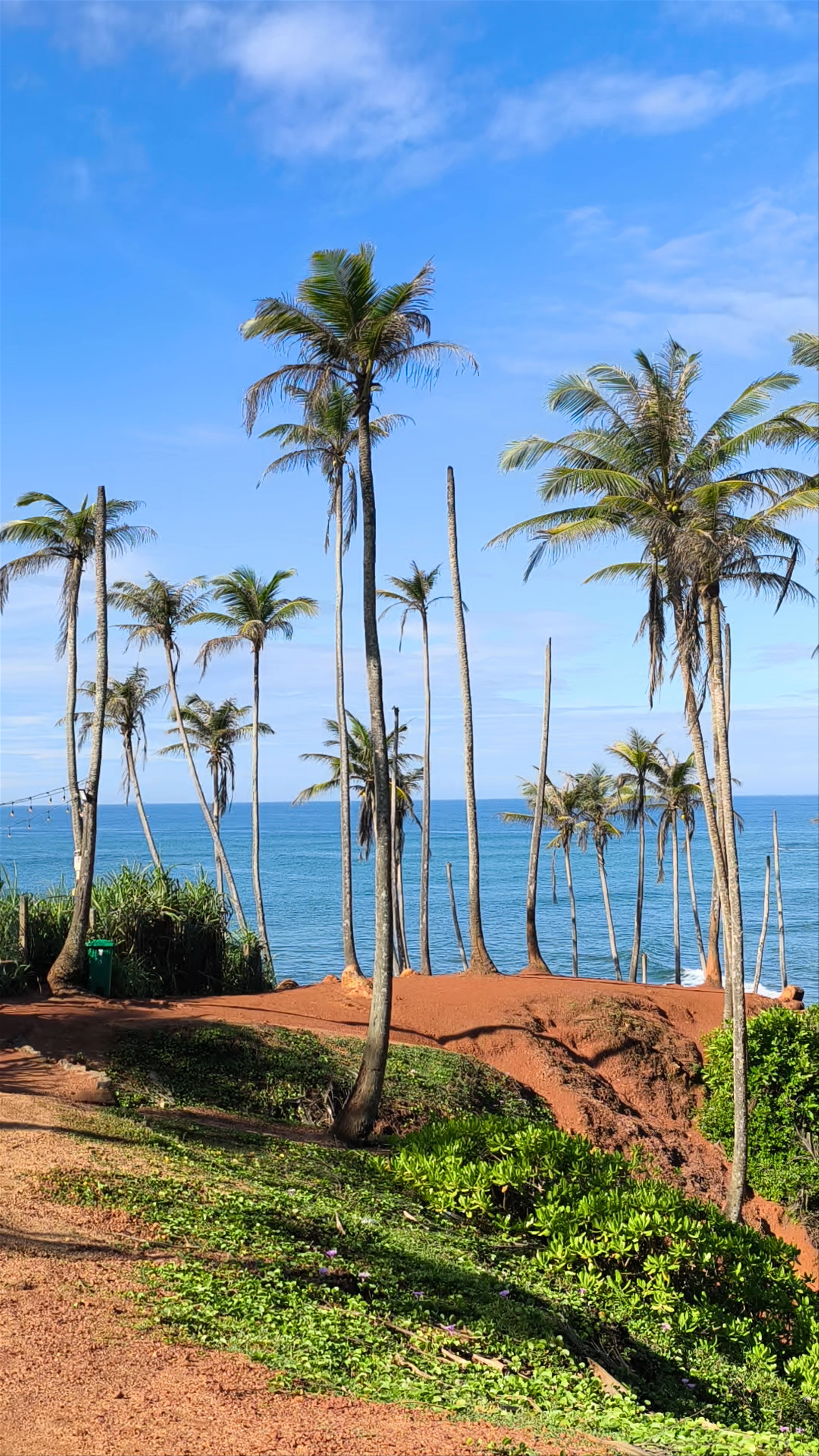 Coconut Tree Hill - Mirissa